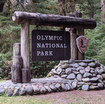 Olympic National Park Trip