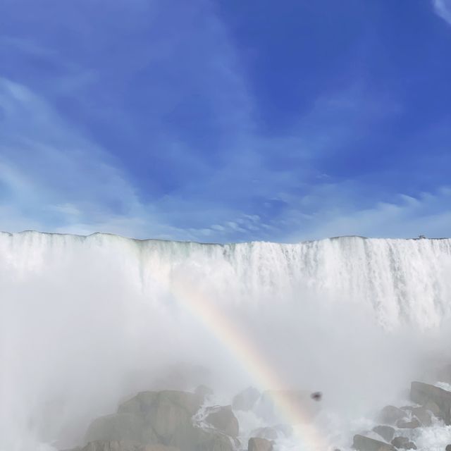Amazingly Beautiful