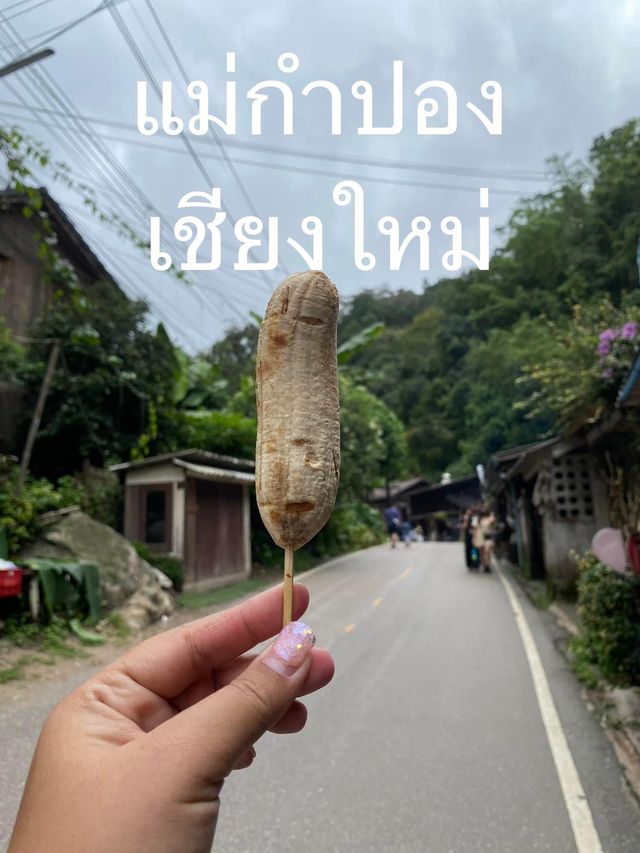 แม่กำปอง เชียงใหม่
