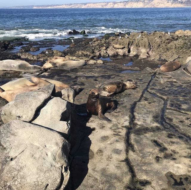 pacific beach - San diego