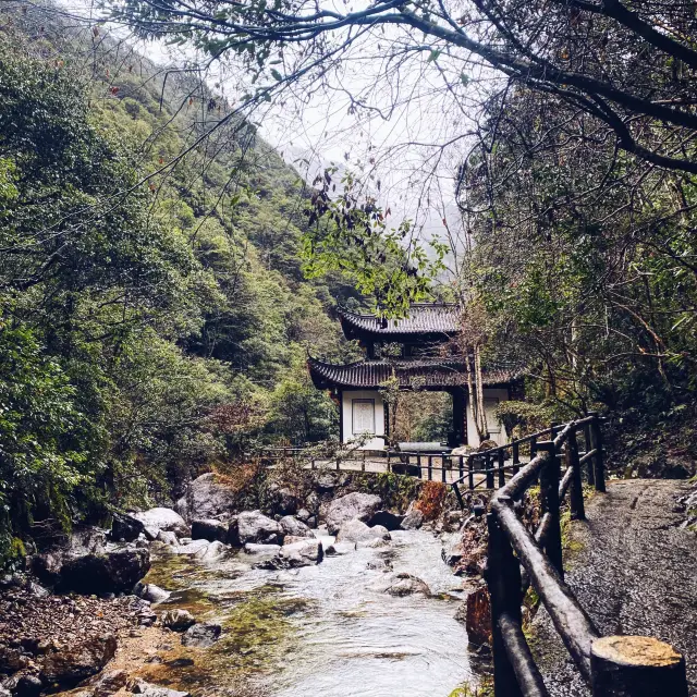 Hiking up Tianshi Peak in Wuyi  🏔 