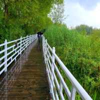 The wonders of Yunnan- Lashihai Wetland Park
