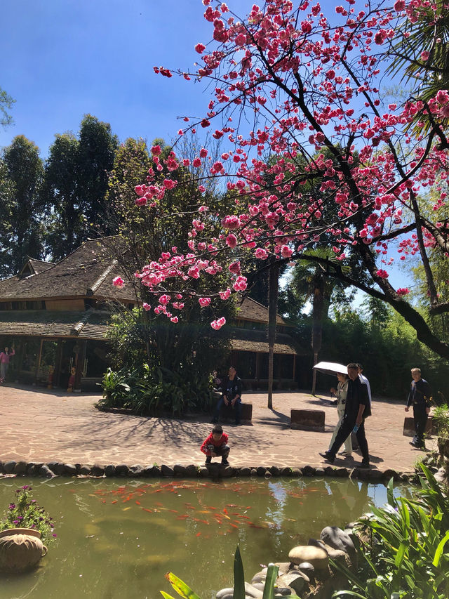 China’s best ancient town- Lijiang