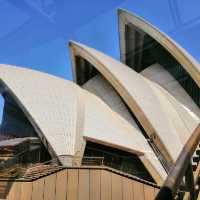 The grand Sydney Opera House 