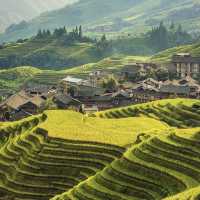 Spectacular Longji Rice Terrace Views 