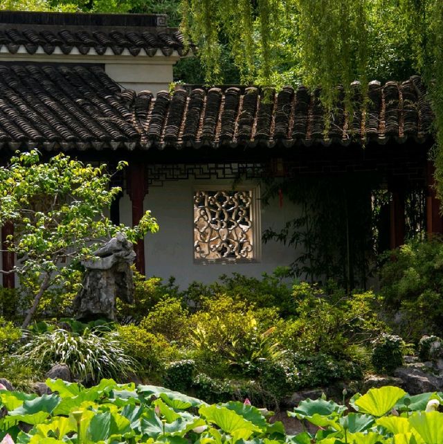 Guyi Garden (古猗园) in Shanghai