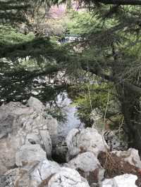 Spring In Yantai 