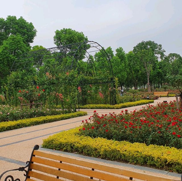 Rose Garden in Houtan Park