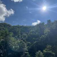 Zip-Line through the jungle!