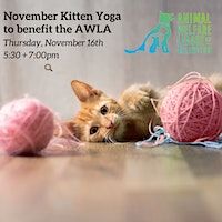 November Kitten Yoga to Benefit the AWLA | Animal Welfare League of Arlington