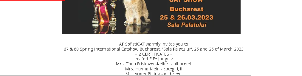 2024 年 Sofisticat 春季國際貓展 | Sala Palatului, 布加勒斯特, 羅馬尼亞