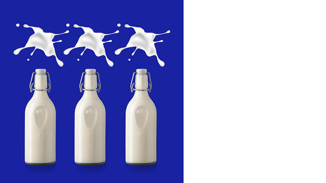 The World of Milk 2024 | Inter Expo Center