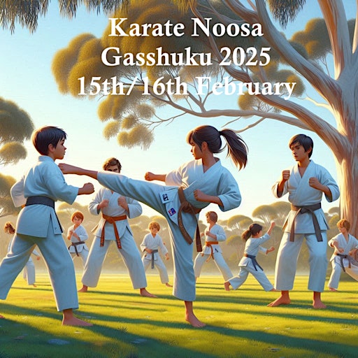 Karate Noosa WSKF Summer Gasshuku | Noosaville State School