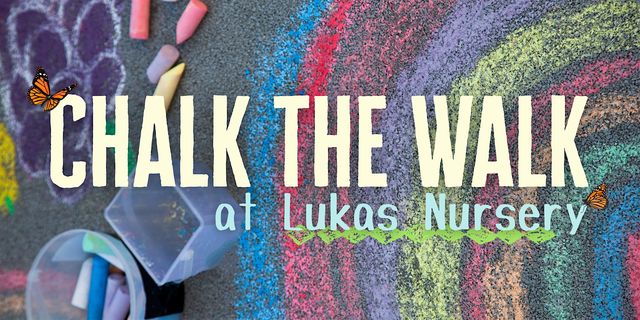 Chalk the Walk at Lukas Nursery! | Lukas Nursery & Butterfly Encounter