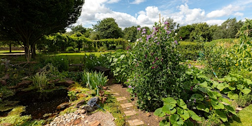 Visit our organic demonstration garden - Garden Organic Open Days | Garden Organic