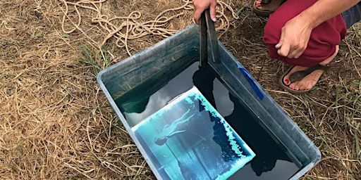 Cyanotypes: Sunprinted Photography | 1255 Wold Rd