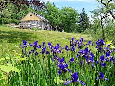 Discover McNabs Island:  Forest Bathing Tour -  July 27, 2025, 9:30 AM | McNabs and Lawlor Islands Provincial Park