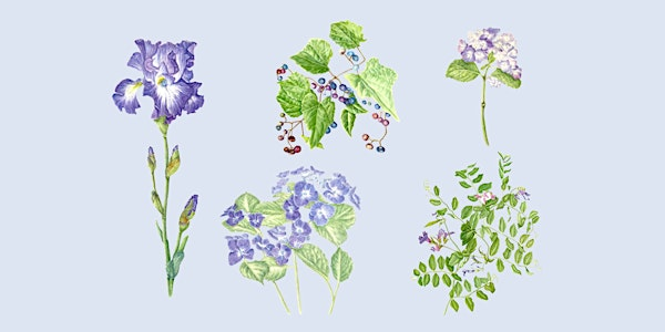 SKETCH Cape Cod, A Coastal Nature Journaling Two-Day Workshop | Osterville Village Library