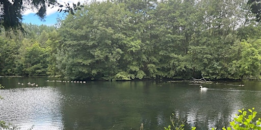 Summer Wellbeing Walk in Elvaston's Nature Reserve | Elvaston Castle Nature Reserve