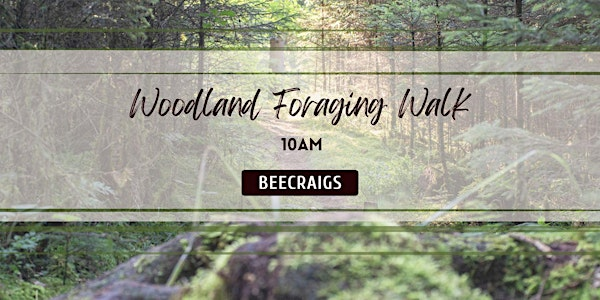 Mushroom Foraging Walk | Beecraigs Country Park