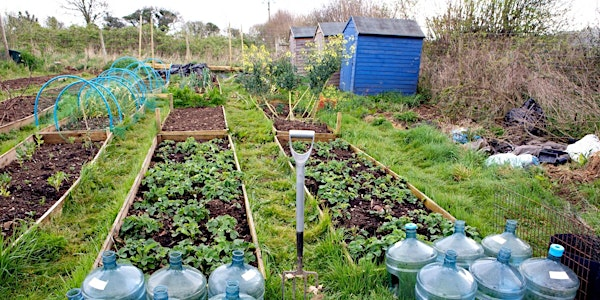 Planning your Allotment Workshop 2025 | Harewood