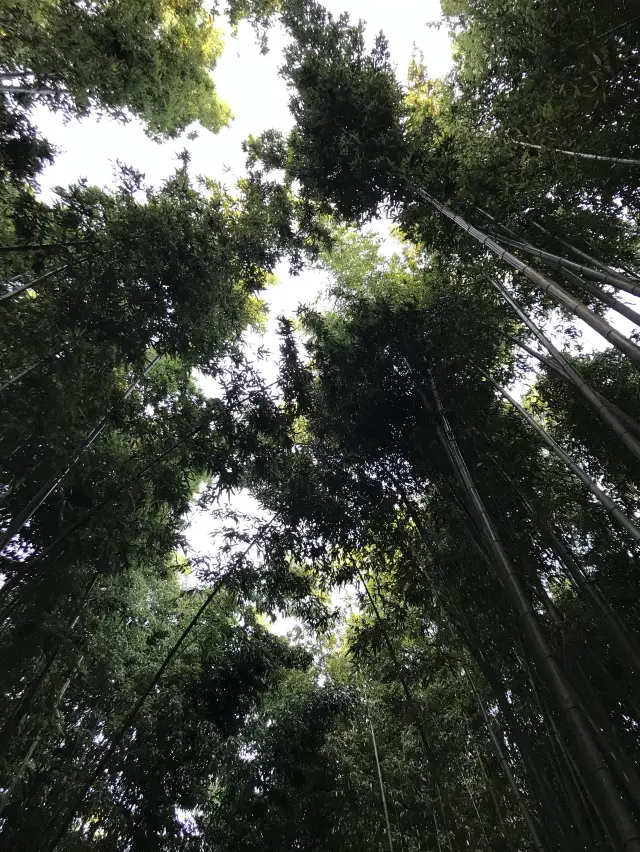 힐링을 원한다면? 울산대공원🌿