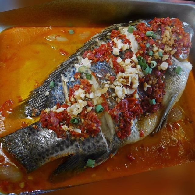 新竹湖口 龍威溫水釣蝦場 可以釣蝦也有活蝦料理可以吃唷