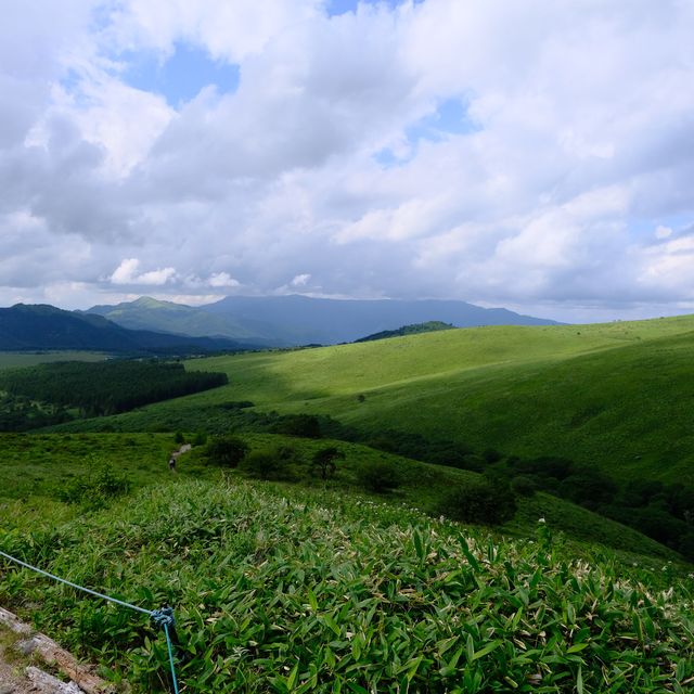 夏の霧ヶ峰