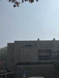 단풍으로 물든 예술의 전당 🍂