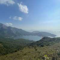 大嶼山看芒草🌾