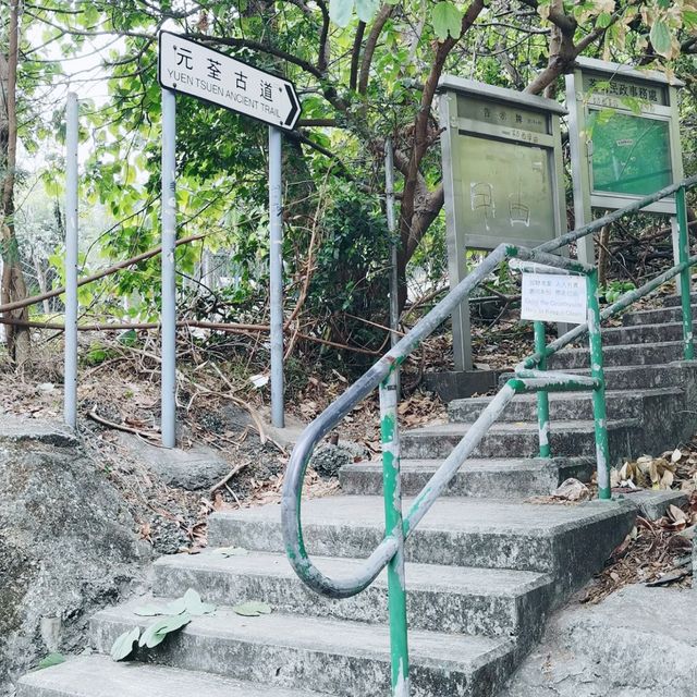 元荃古道郊遊徑