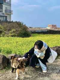 나만 알고싶다.. 우연히 발견한 골목길 안 유채꽃밭🌼