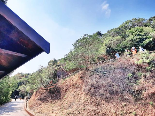 寶馬山輕鬆行
