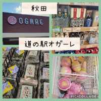 【秋田】道の駅ｵｶﾞｰﾚ