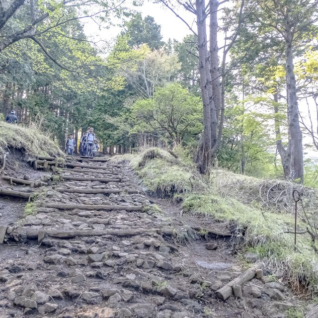 大倉尾根の昔の茶屋の様子