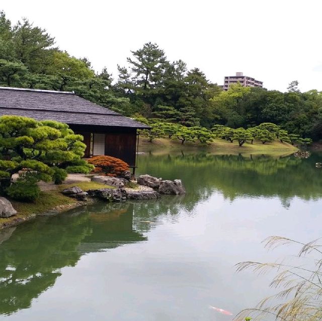 日式庭園美景🌳🌳🌳