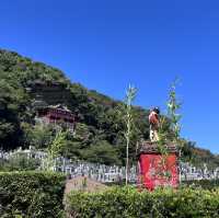 【千葉】切り立つ崖にたつお寺😲崖観音