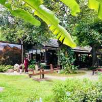 เฮือนฮังต่อ จุดเช็คอินที่ทุกคนต้องแวะเมื่อมาน่าน