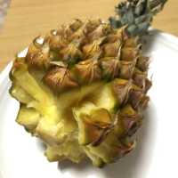 【沖縄】国際通りで沖縄グルメめぐり
