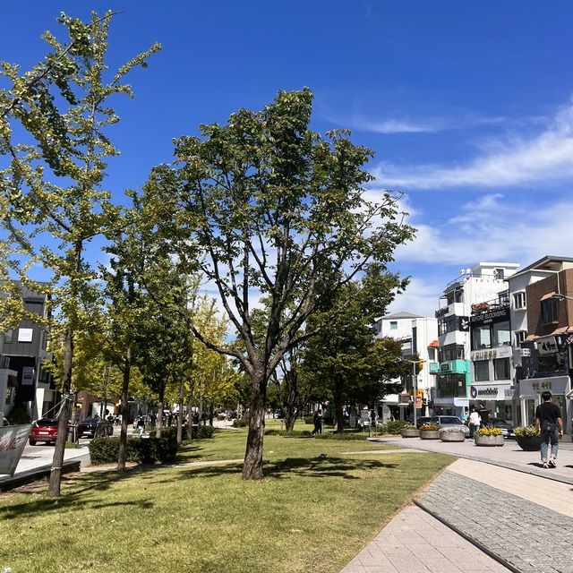 韓国/ソウル【延南洞】緑を見ながら乾杯🍻