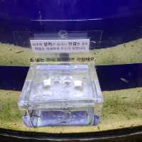 여수 아쿠아플라넷의 매력, 함께해요!