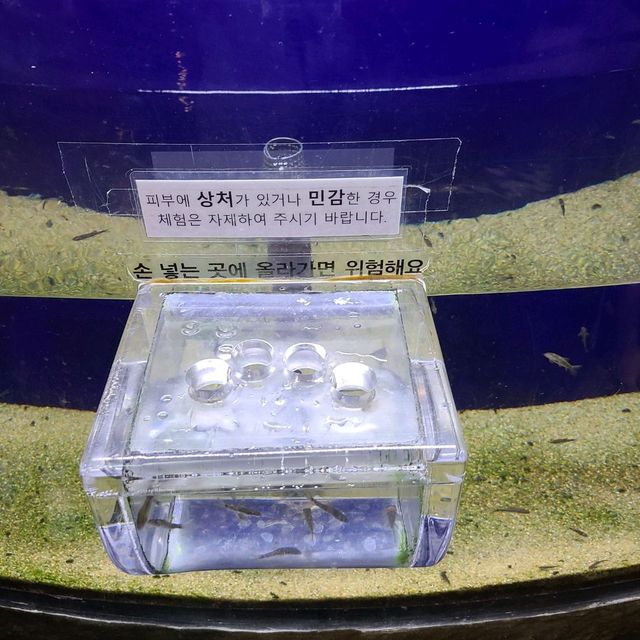 여수 아쿠아플라넷의 매력, 함께해요!