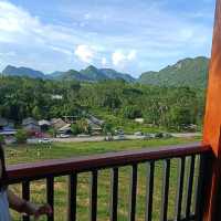 ไร่ชา1000 ไมลฺ์ ที่ใครๆต้องไม่พลาด