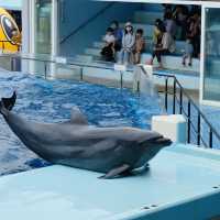 AQUARIUM PLACE 