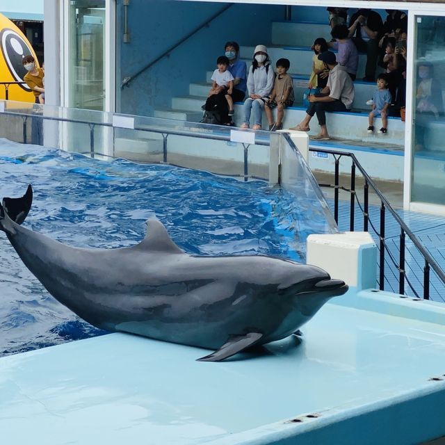 AQUARIUM PLACE 