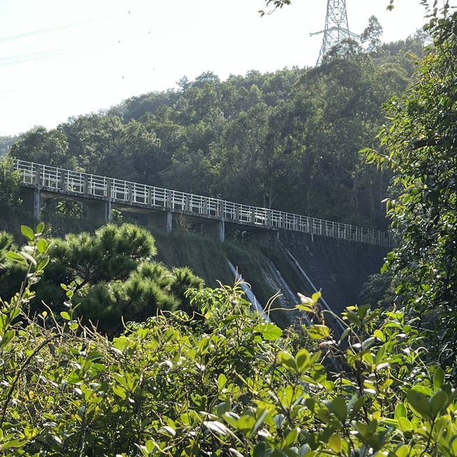 藍地水塘