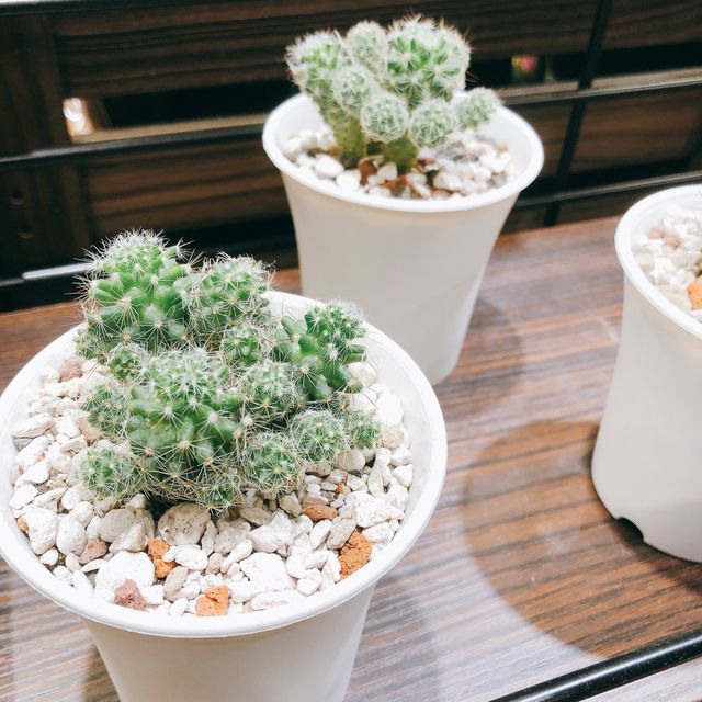 💐🪴發現美好UNIQLO Miramar Store UNIQLO 美麗華店🍀🌵