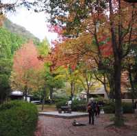 湯布院❤️此生必去九州景點‼️古色古香小店