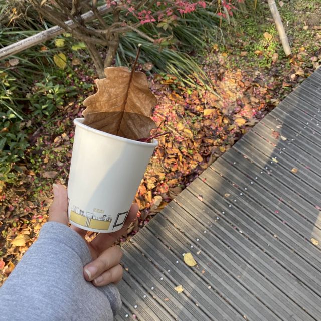 단풍여행하기 좋은 서울숲