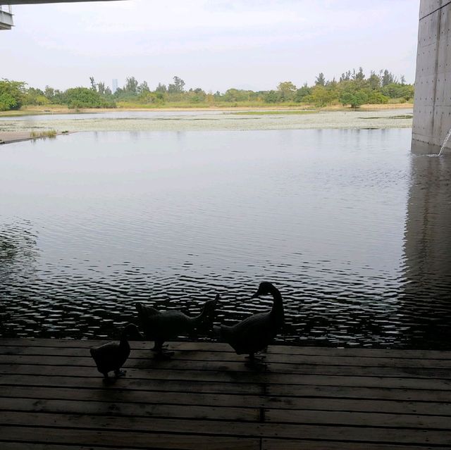 👣We we 娃嘩@Wetland 濕地公園遊🐊